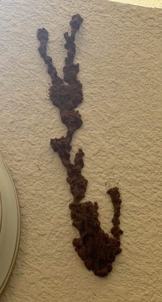 This Harmless-Looking Wall Conceals Thousands in Damage