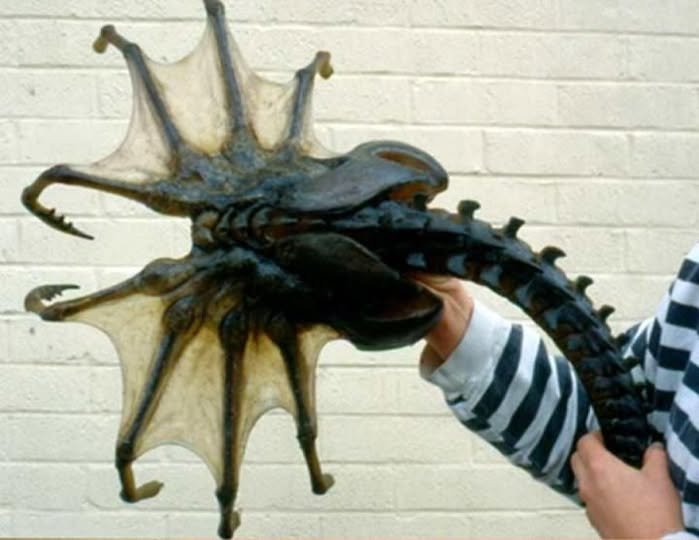 A Brief History of Lobsters and How They Became Seafood Royalty