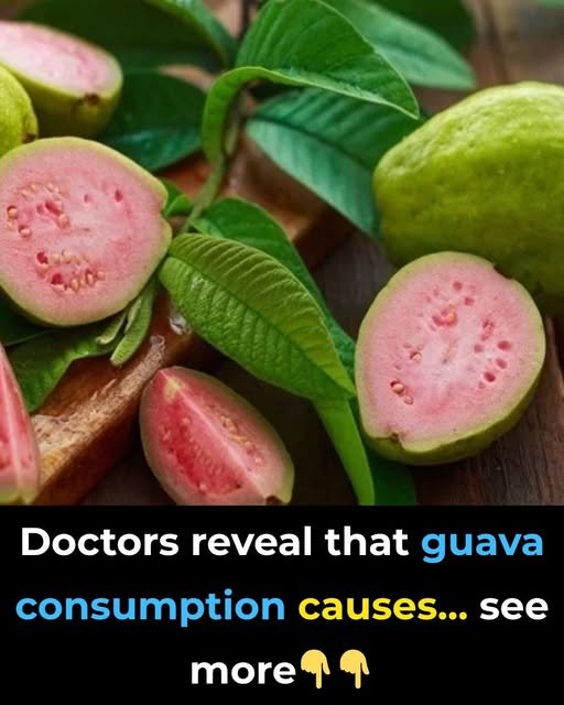 Doctors REVEAL that guava leaf tea causes in…