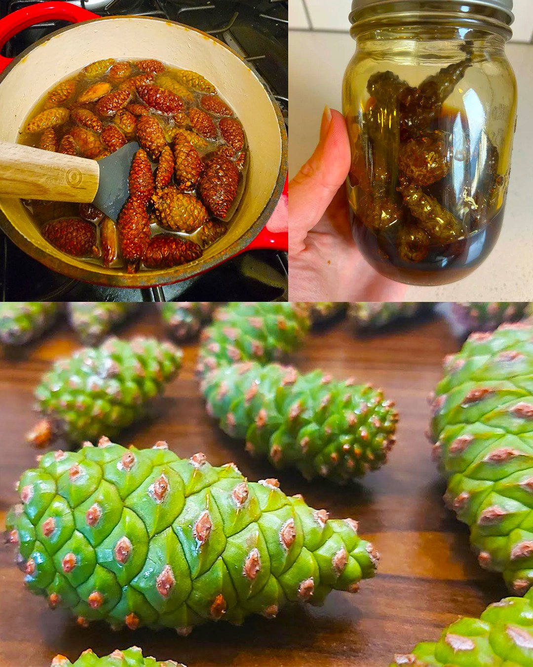 Pine Cone Syrup: A Newbie-Friendly Guide (Benefits, How to Make It, and Everyday Uses)
