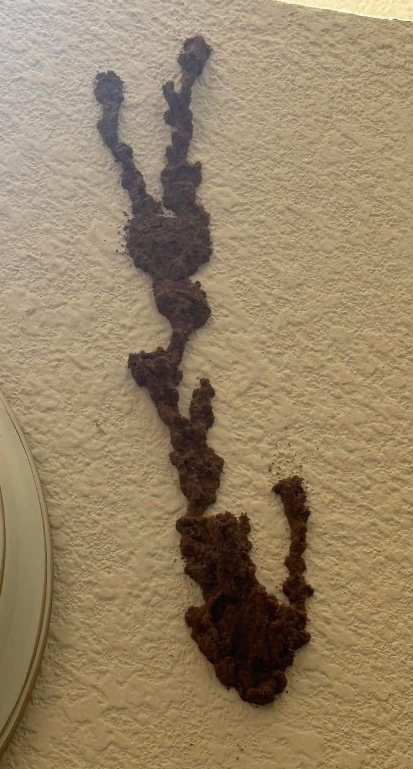 This Harmless-Looking Wall Conceals Thousands in Damage