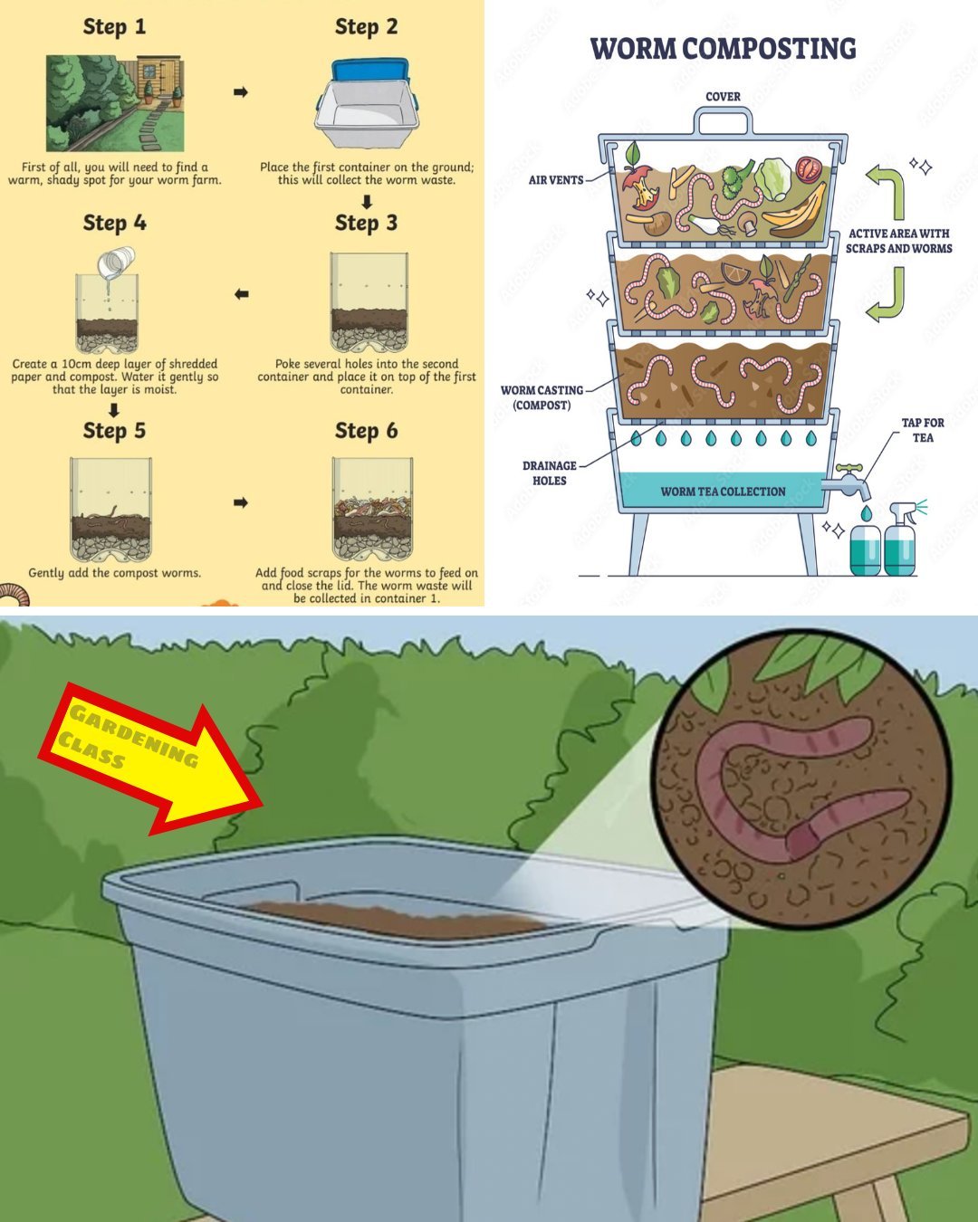 Building Your Own Underground Worm Farm: A Step-by-Step Guide to Eco-Friendly Composting