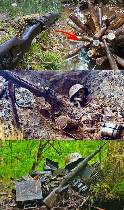 A Haunting Relic: The Skull in the Stahlhelm and War’s Lasting Truth