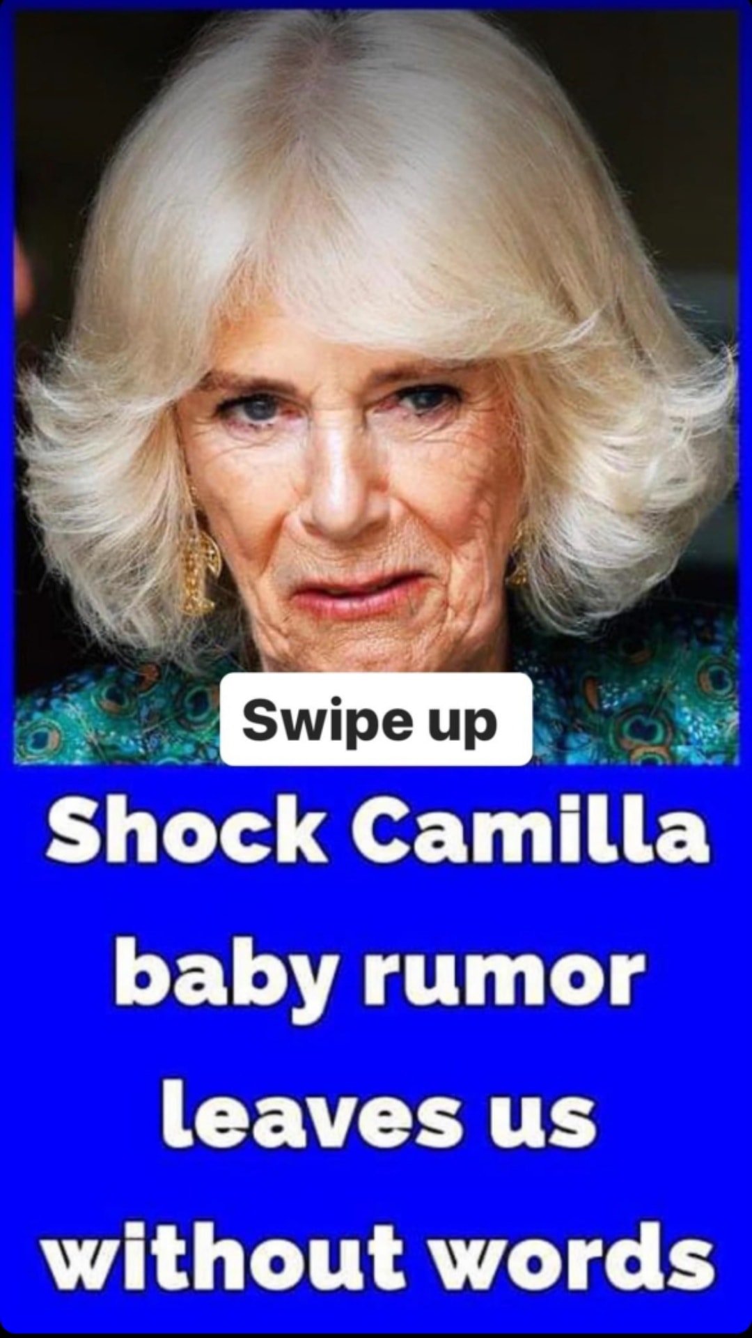 Man who claims to be the son of King Charles and Queen Camilla launches legal fight to prove his ‘royal paternity’