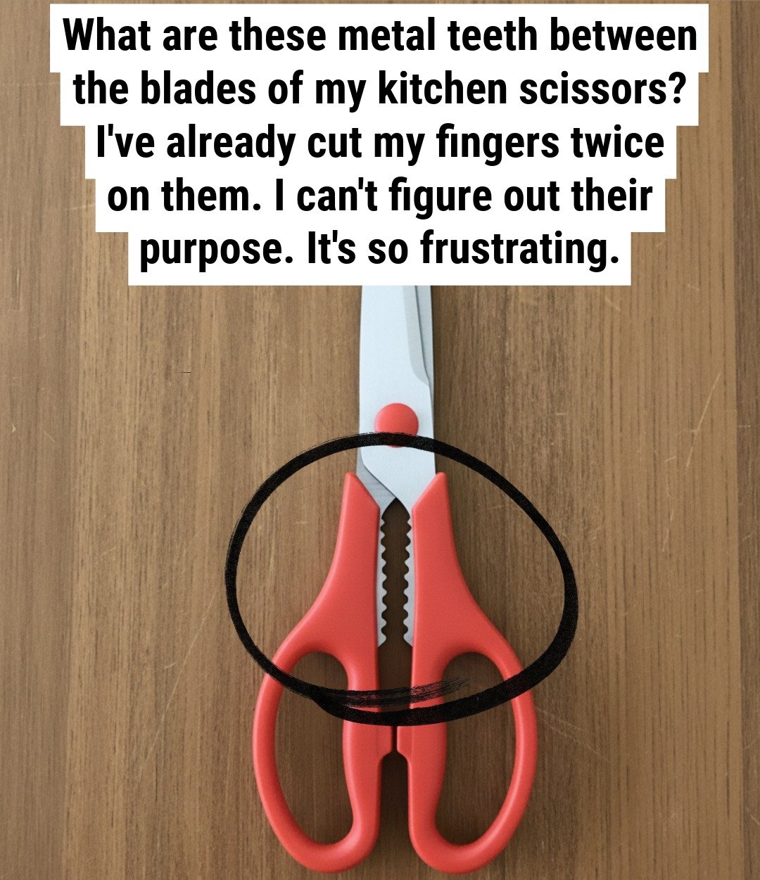 What’s the purpose of that jagged section on kitchen scissors?