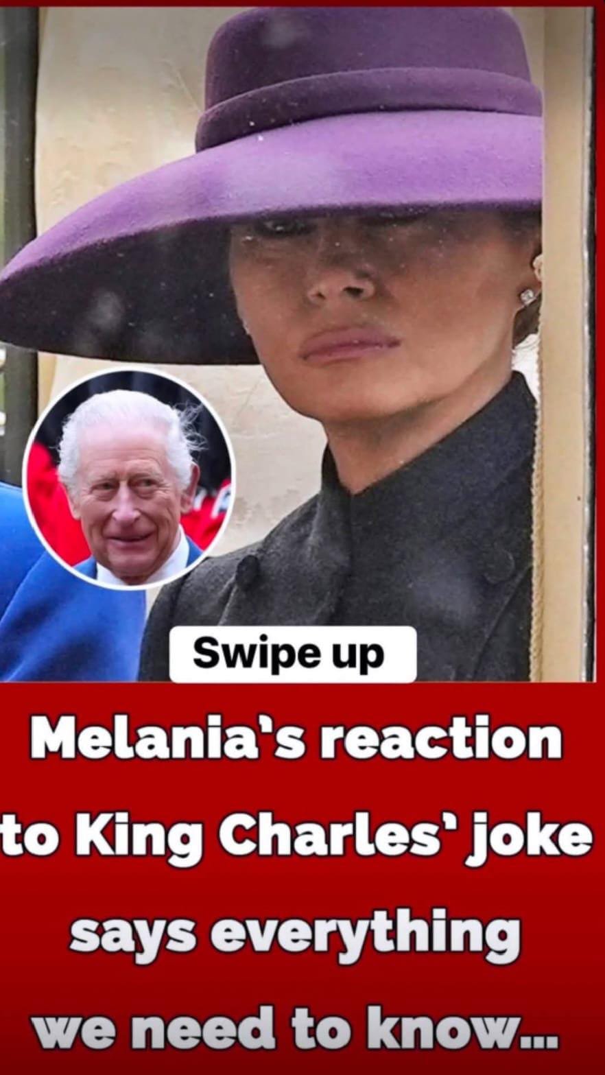 Viral Moment at Royal Event Sparks Fresh Debate Over Diplomatic Body Language