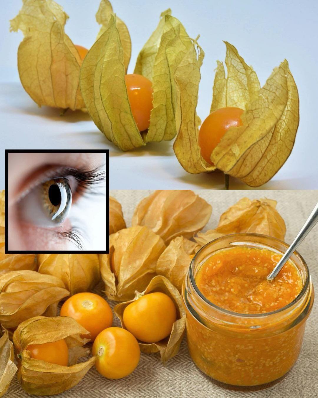 The Remarkable Benefits and Uses of Physalis peruviana (Goldenberry)