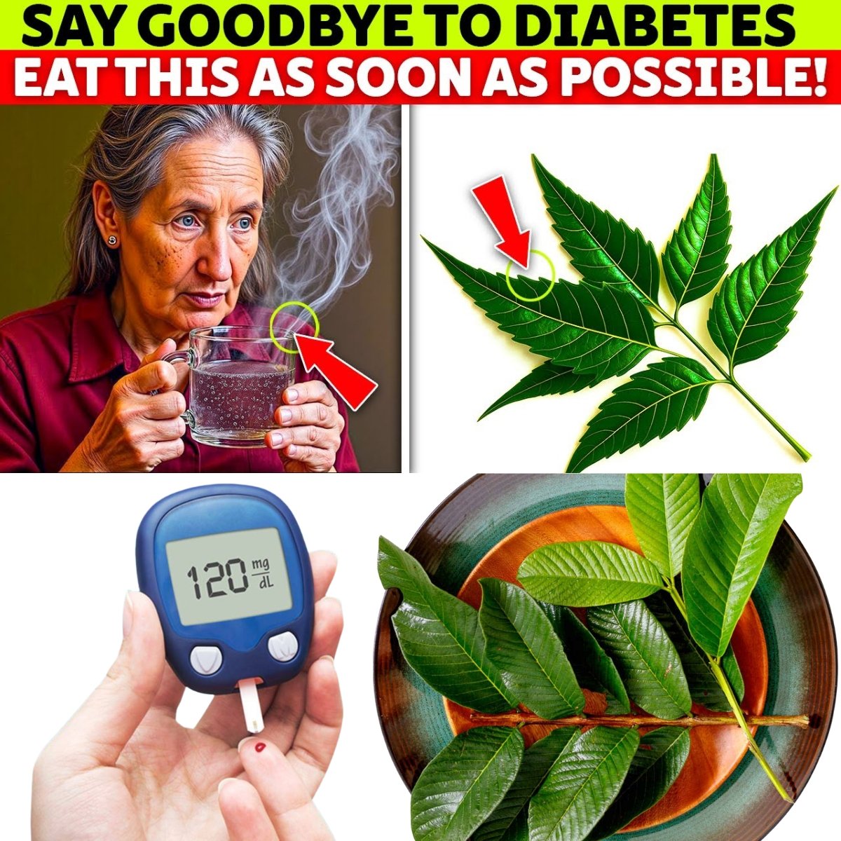 🌿 SENIORS: This 1 Leaf DESTROYS Diabetes & Melts Belly Fat (Doctors HATE It!) | Barbara O’Neill