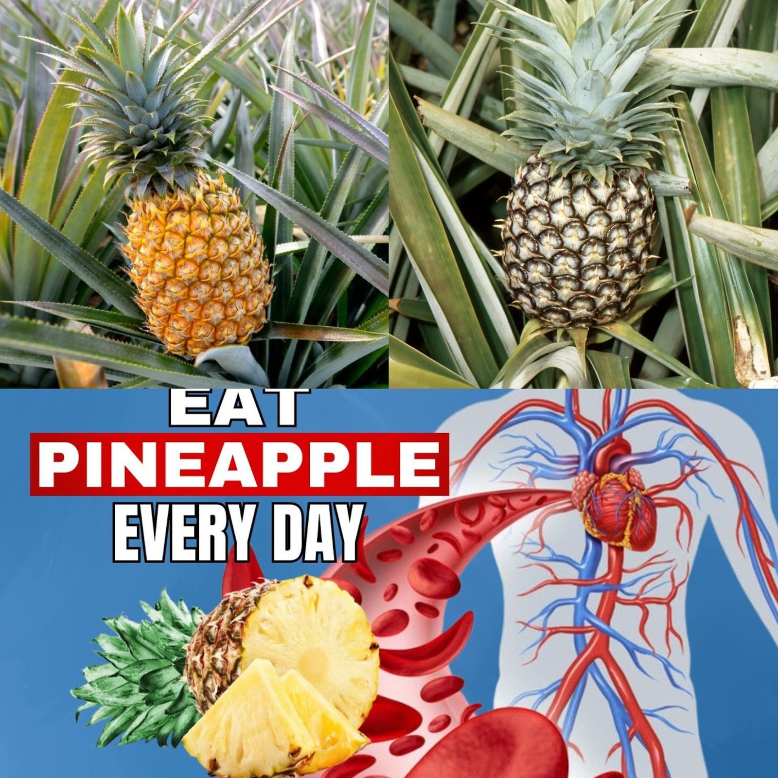 What Happens To Your Body When You Eat Pineapple