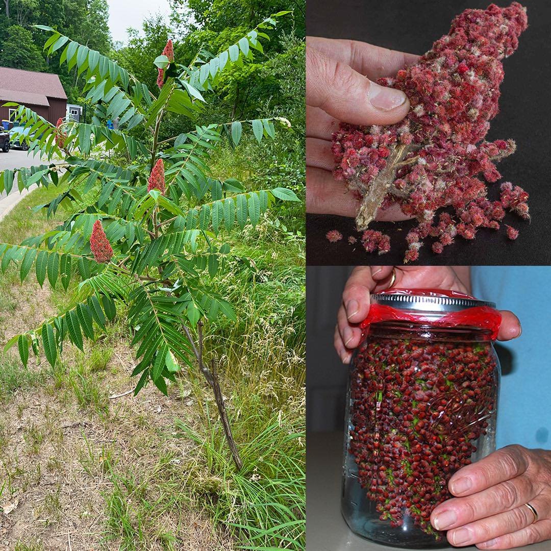 The Amazing Benefits of Sumac and How to Use It