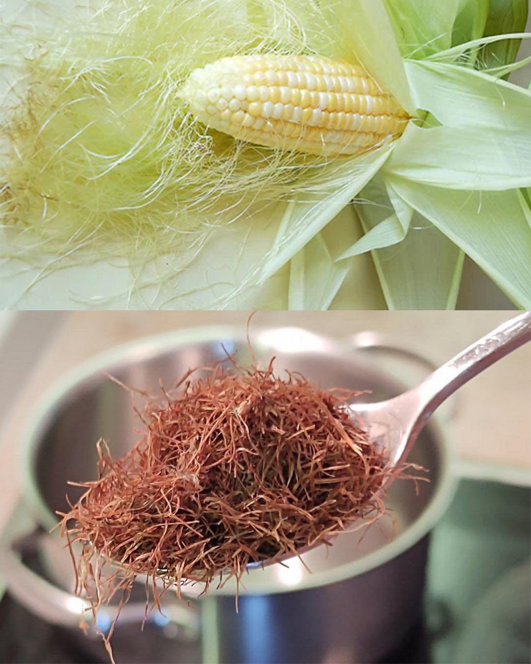 Corn Silk: 30 Health Benefits and How to Use It