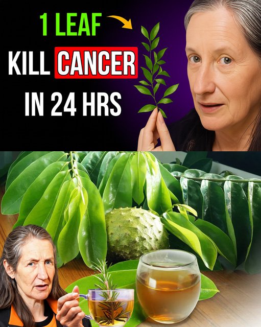 Can One Leaf Really Kill Cancer in 24 Hours? The Shocking Truth About Soursop Unveiled!