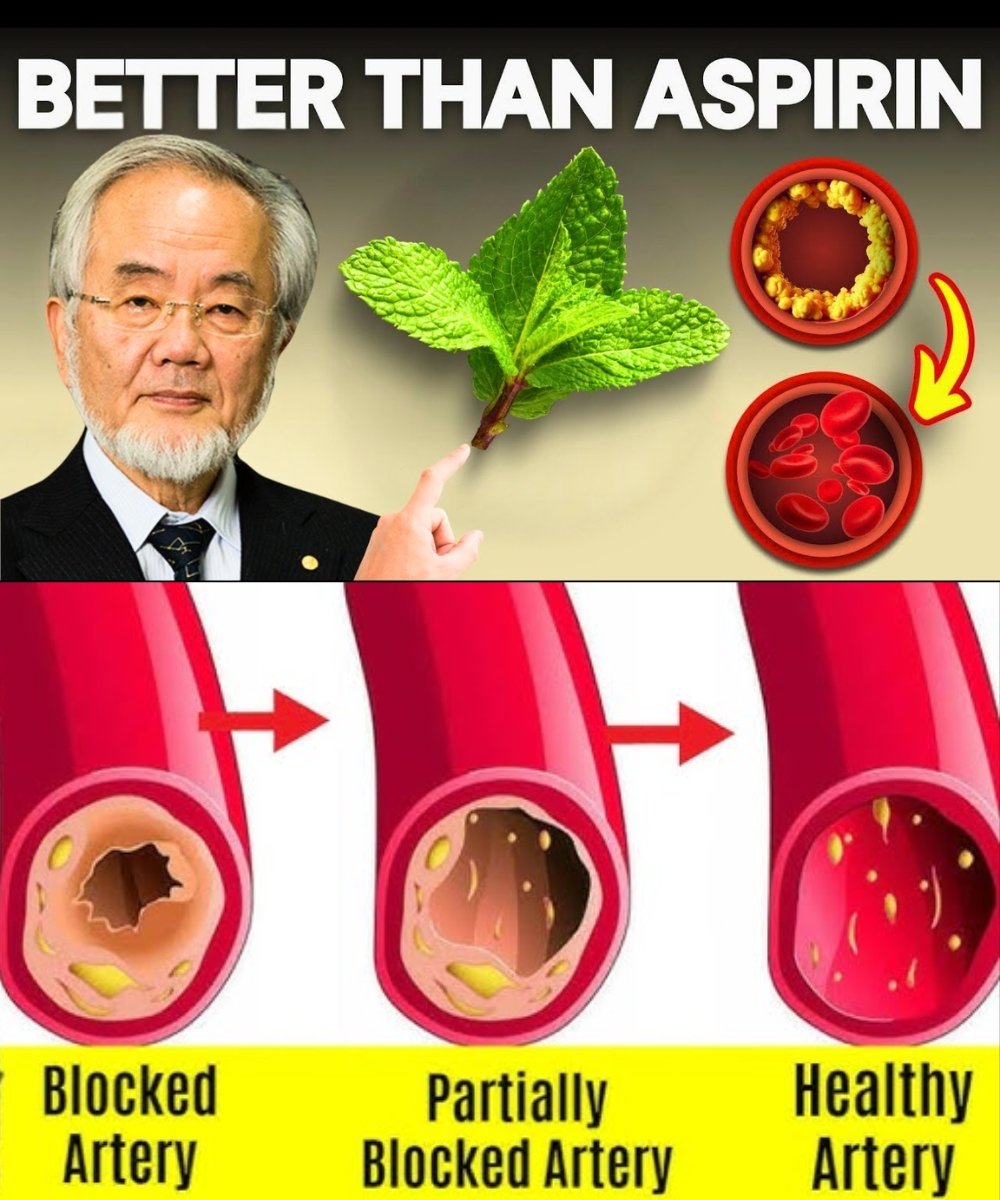 Say Goodbye to Blocked Arteries with These Powerful Foods (Better Than Aspirin!)