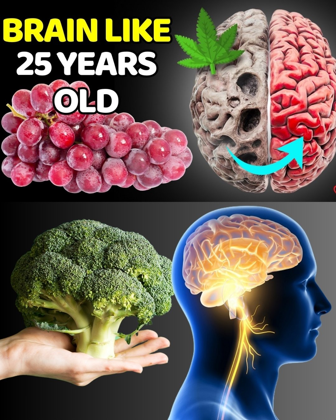 MUST EAT! Top 7 Best Fruits For Your Body And BRAIN HEALTH | Vitality Solutions