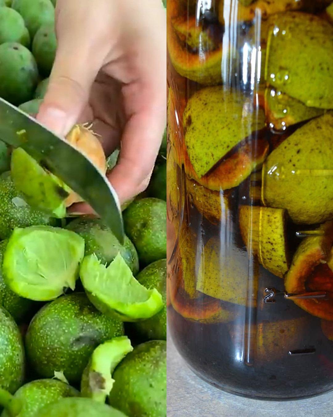 Exploring the Health Benefits and Homemade Uses of Green Walnut Shells