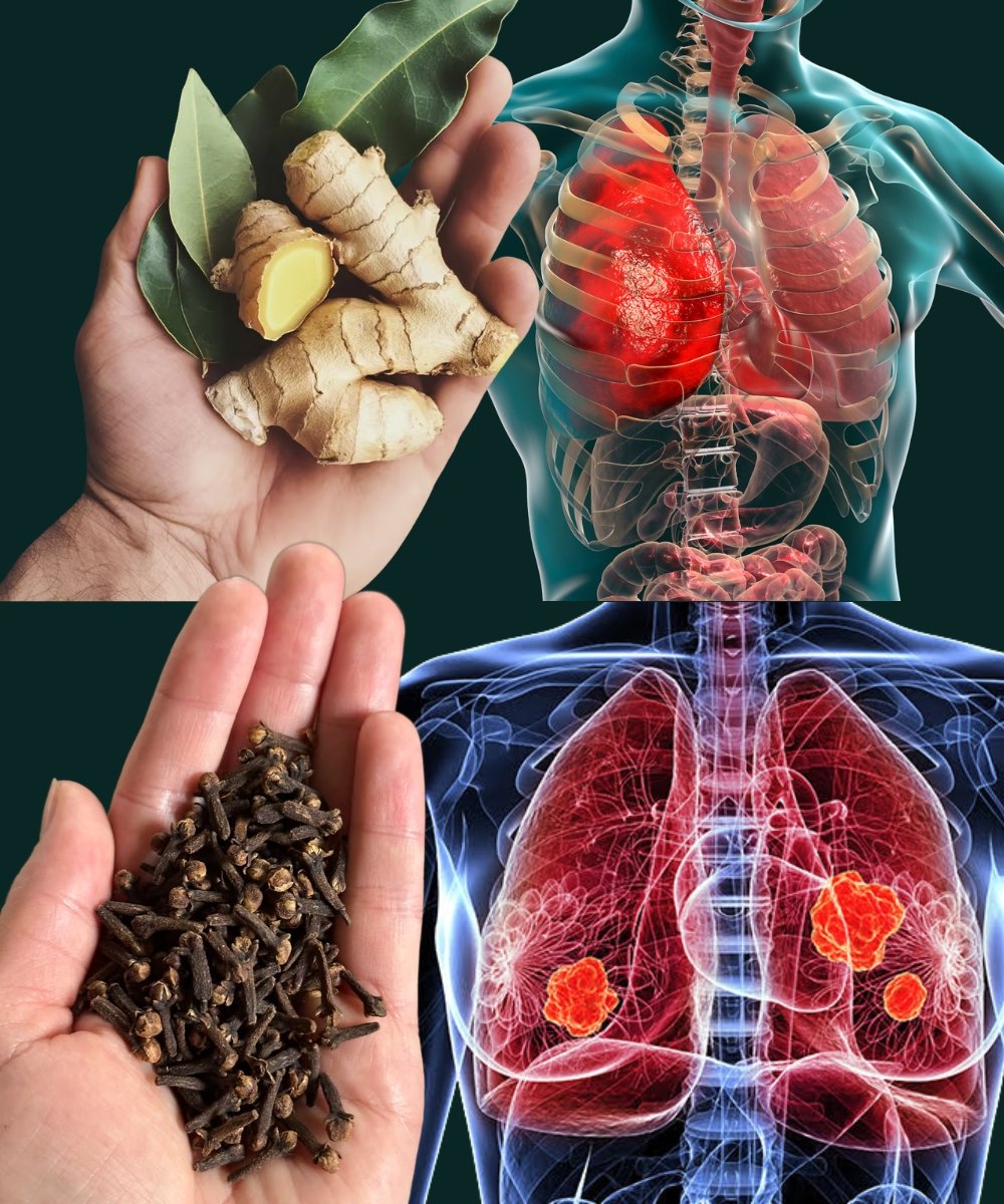 How to Use Cloves to Combat Respiratory Infections and Bronchitis